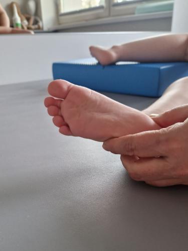 turnus-vojta-medek-11